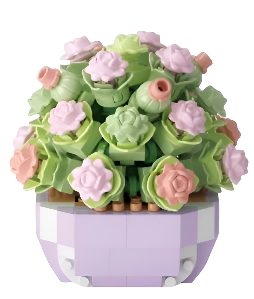 Constructor - Plant dairy. Succulents, assorted