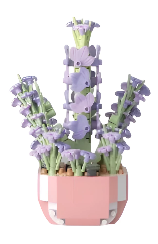 Konstruktor - Kwiatowy dziennik 3D, Sukulenty, w asortymencie