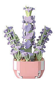 Konstruktor - Kwiatowy dziennik 3D, Sukulenty, w asortymencie