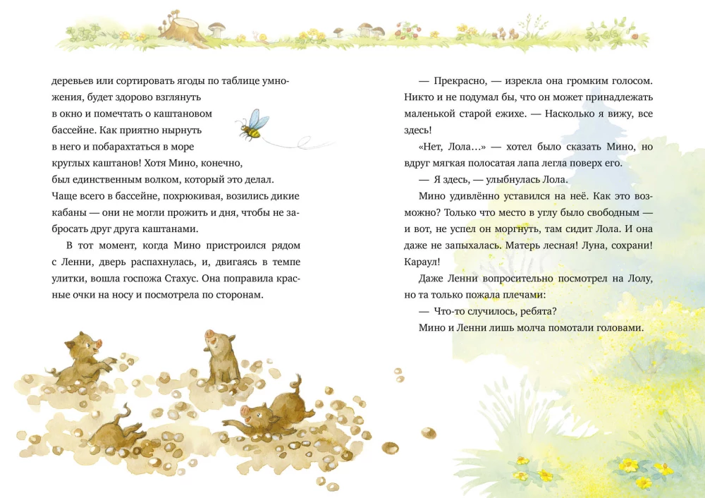 Welcome to the Forest School