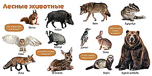 Мои первые фотокниги. Изучаем мир
