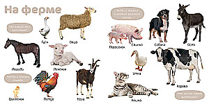 Мои первые фотокниги. Изучаем мир