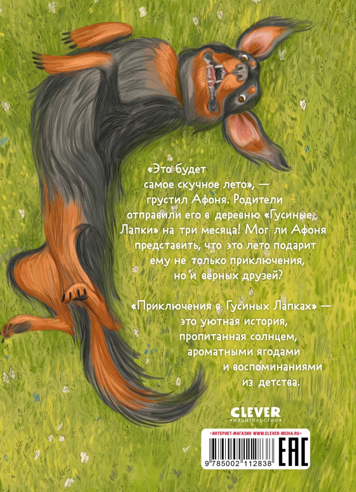 Adventures in Goose Feet