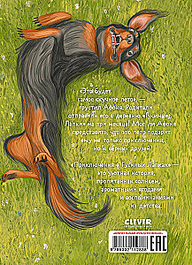 Adventures in Goose Feet