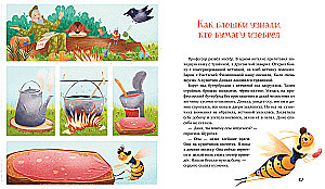 Jak Szurczka i Murczka szukały wyhuhola