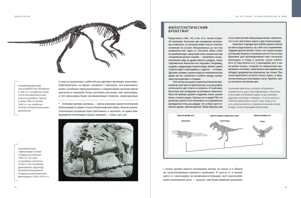 Dinosaurs. 150,000,000 Years of Dominance on Earth