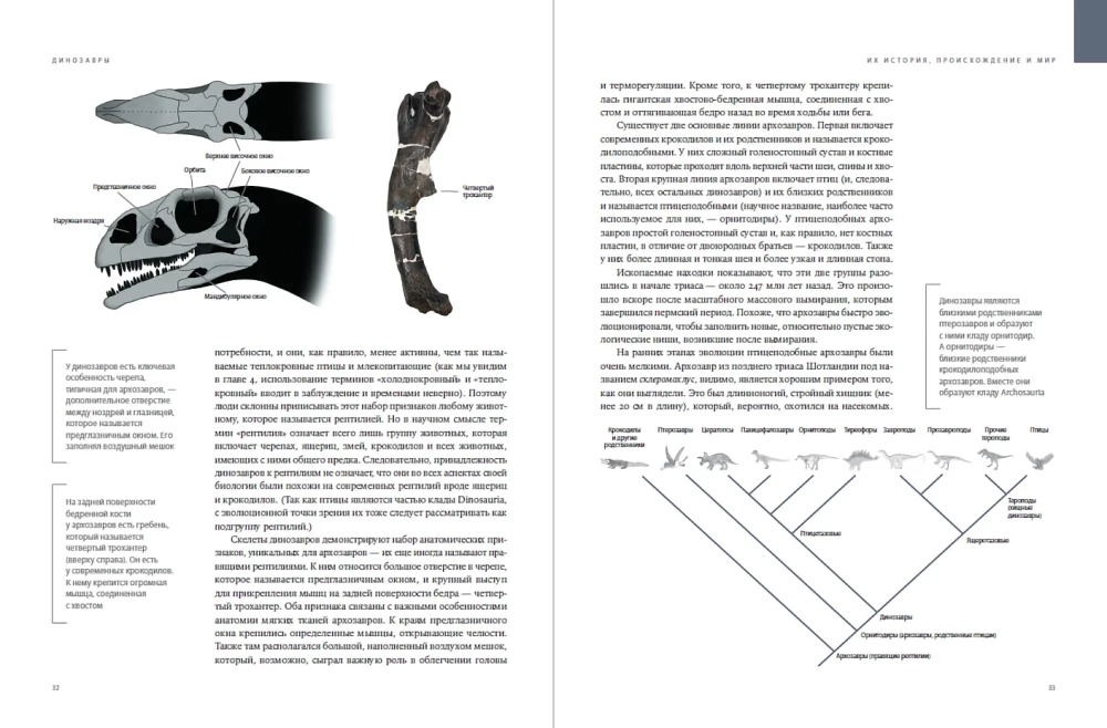 Dinosaurs. 150,000,000 Years of Dominance on Earth