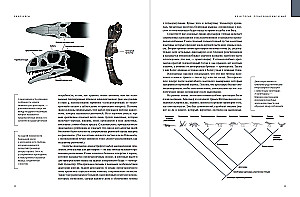 Dinosaurs. 150,000,000 Years of Dominance on Earth