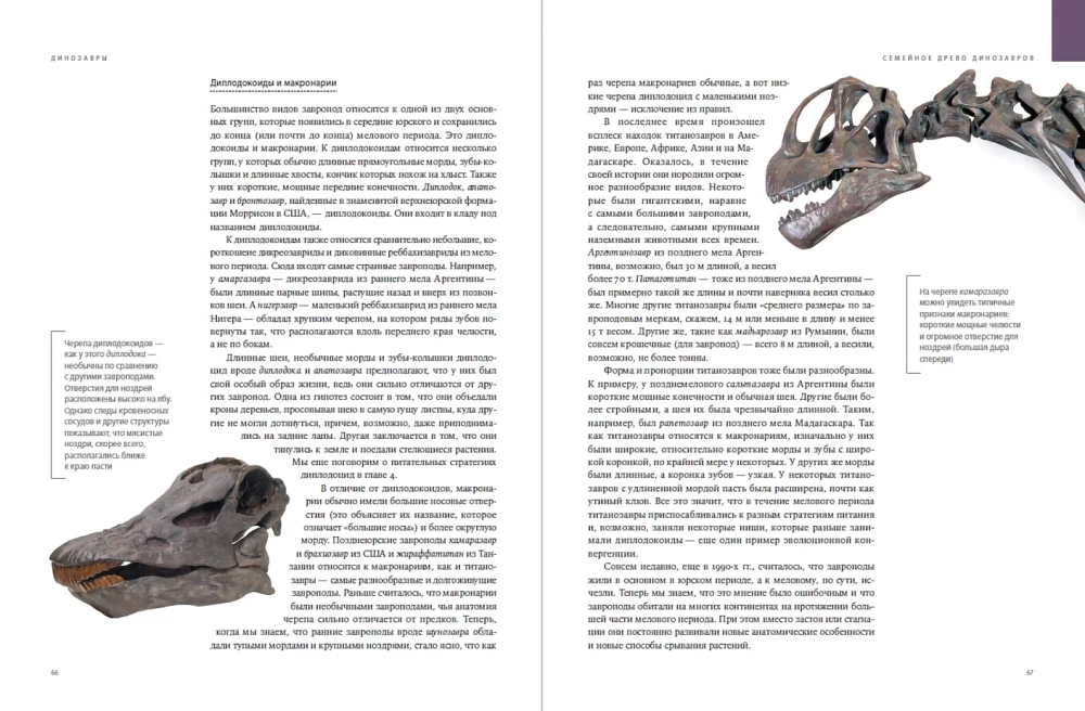 Dinosaurs. 150,000,000 Years of Dominance on Earth