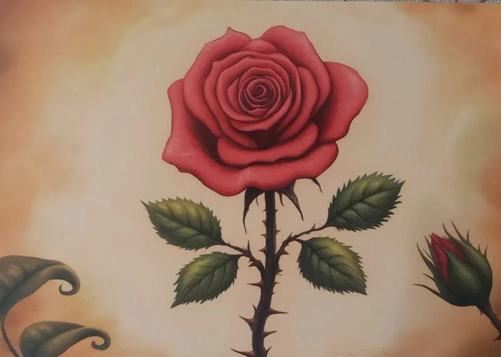 Metaphorische Postkarten - Alle Antworten sind in uns