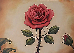 Metaphorische Postkarten - Alle Antworten sind in uns