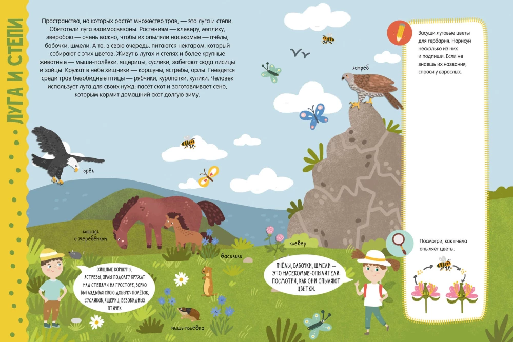 Secrets of Planet Earth. Facts, Tasks, Experiments