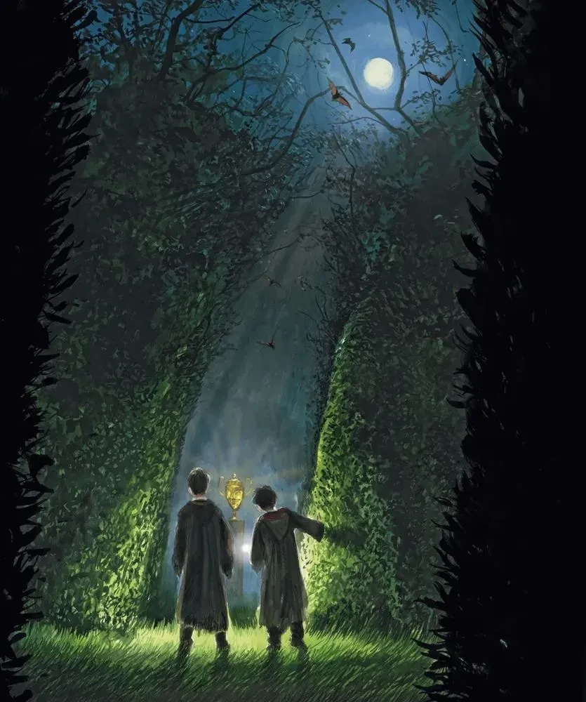 Гарри Поттер и Кубок Огня