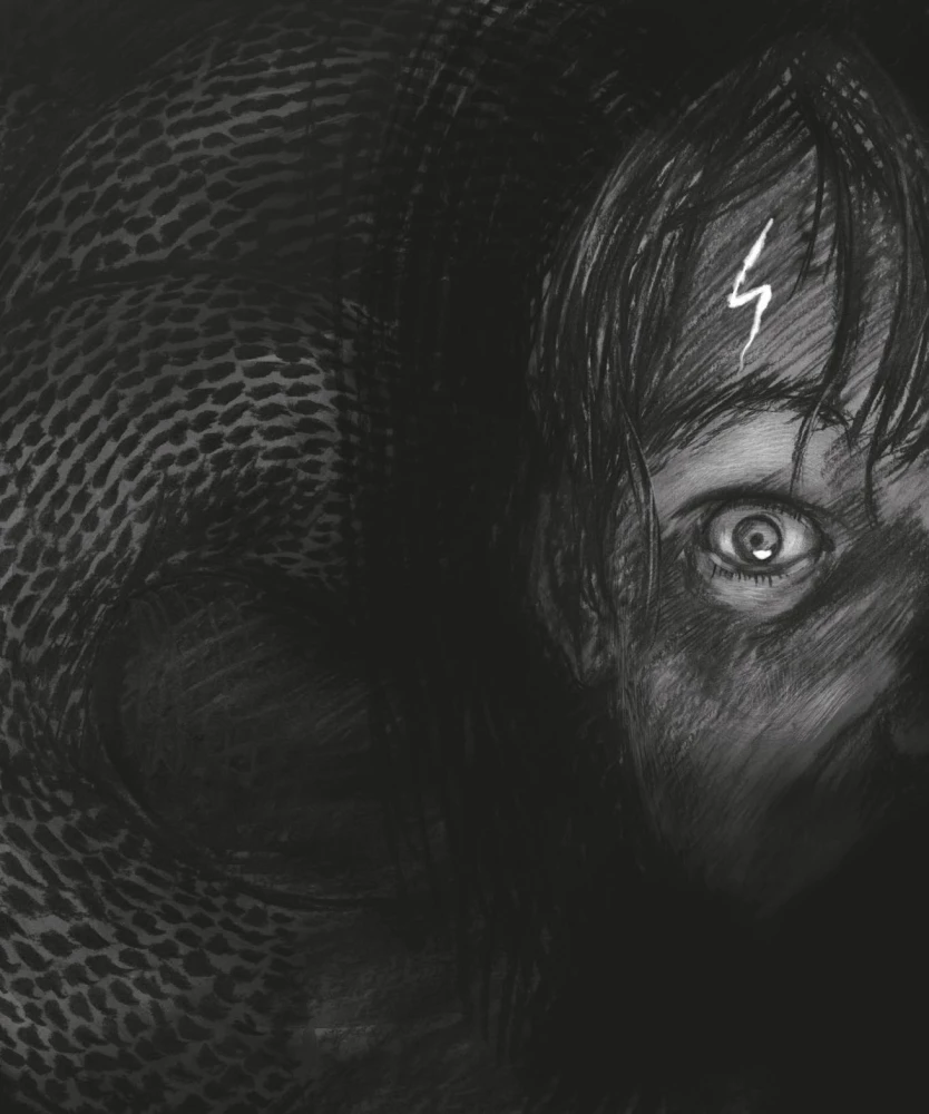 Гарри Поттер и Кубок Огня