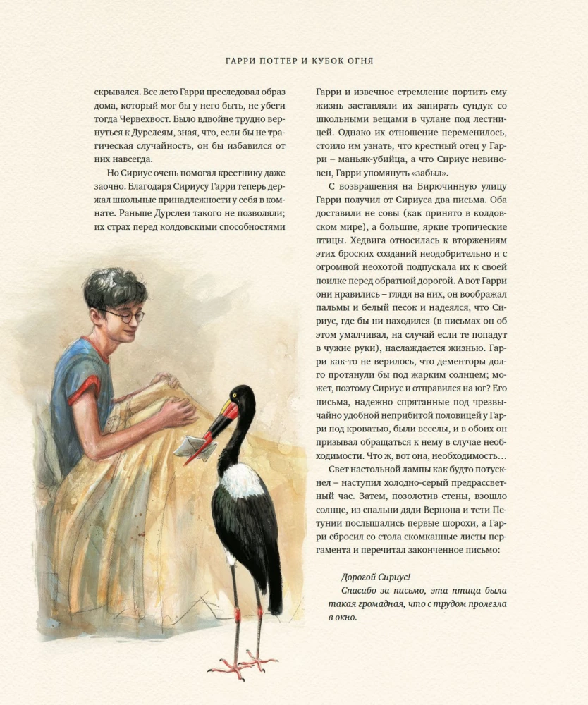 Гарри Поттер и Кубок Огня