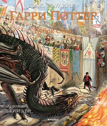 Гарри Поттер и Кубок Огня