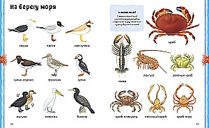 Loomad. Visuaalne entsüklopeedia