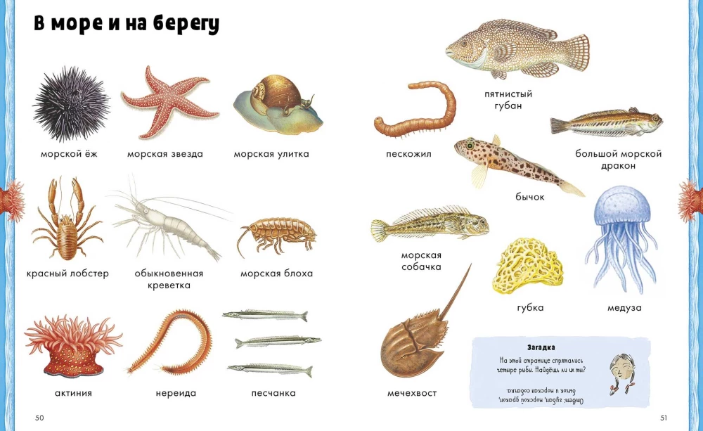 Tiere. Visuelle Enzyklopädie