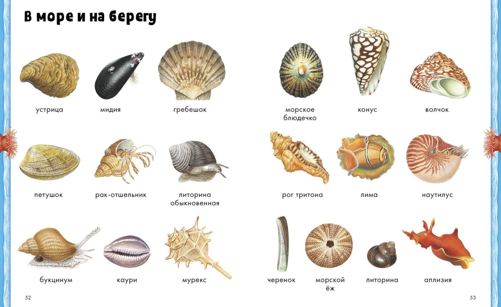 Loomad. Visuaalne entsüklopeedia