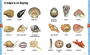 Loomad. Visuaalne entsüklopeedia