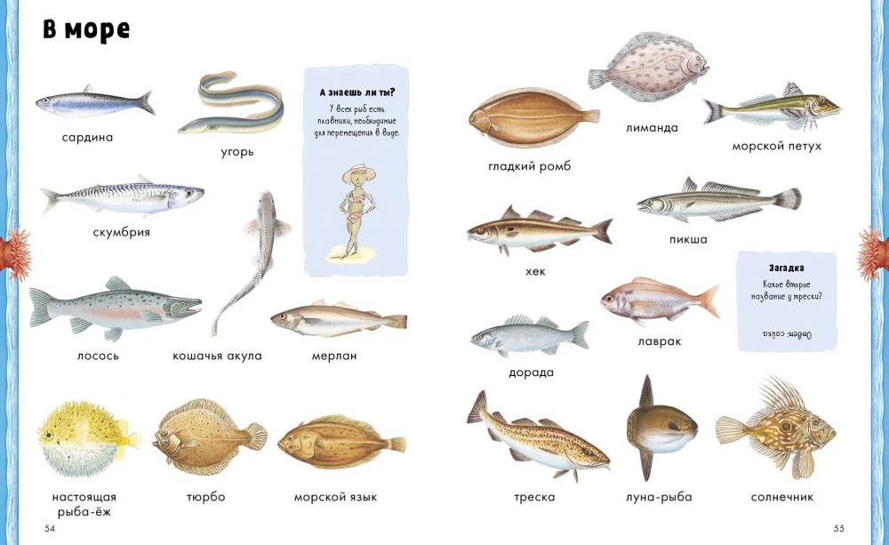 Loomad. Visuaalne entsüklopeedia