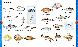 Loomad. Visuaalne entsüklopeedia