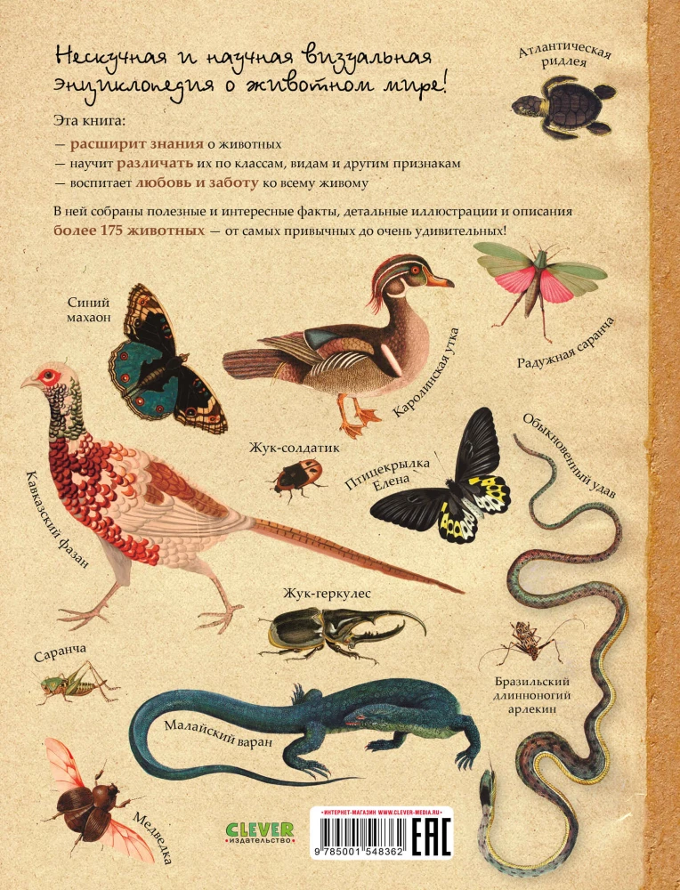 Zadziwiające encyklopedie. Zoologia w obrazkach