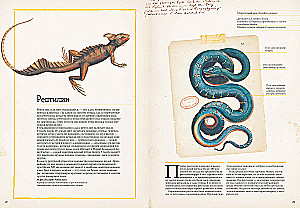 Zadziwiające encyklopedie. Zoologia w obrazkach