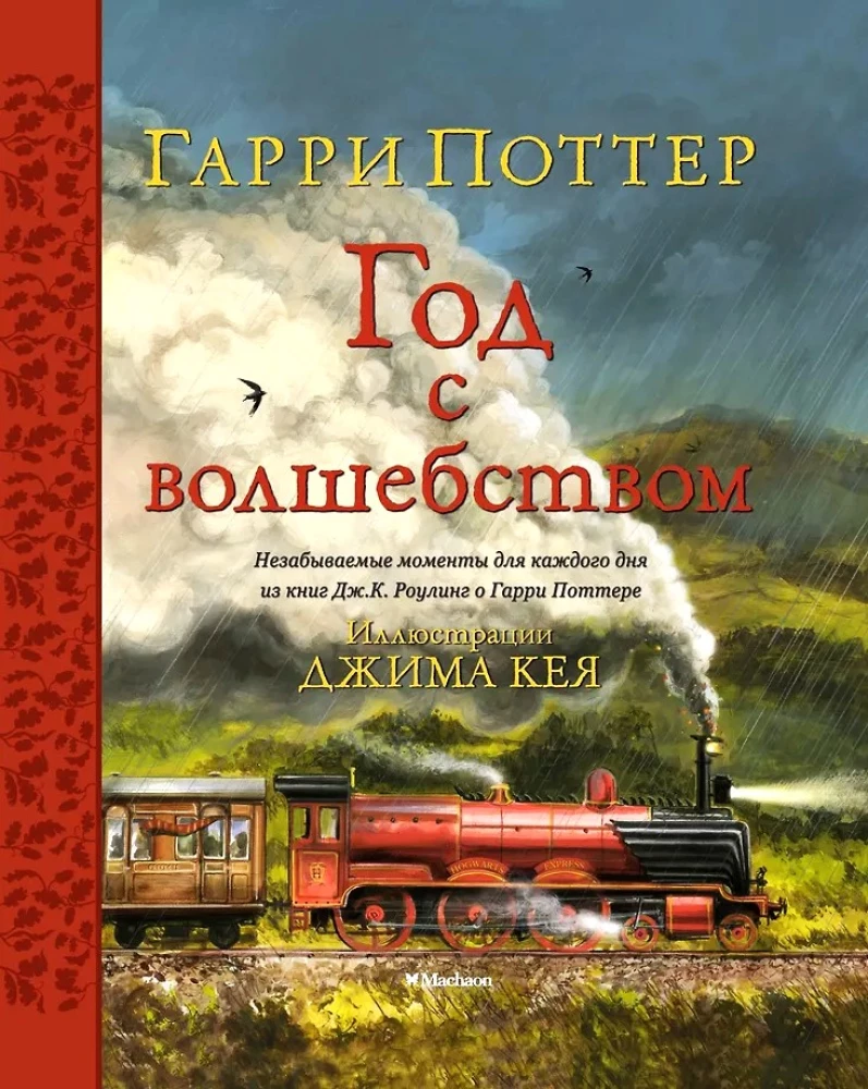 Haris Poteris. Metai su burtu