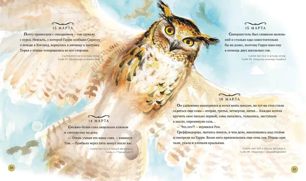 Haris Poteris. Metai su burtu