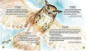 Haris Poteris. Metai su burtu