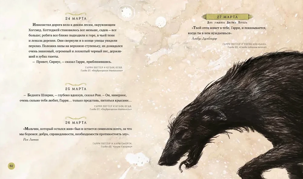 Haris Poteris. Metai su burtu