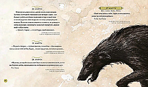 Haris Poteris. Metai su burtu