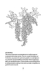 Poisons and Curses. The Dark Side of Plants