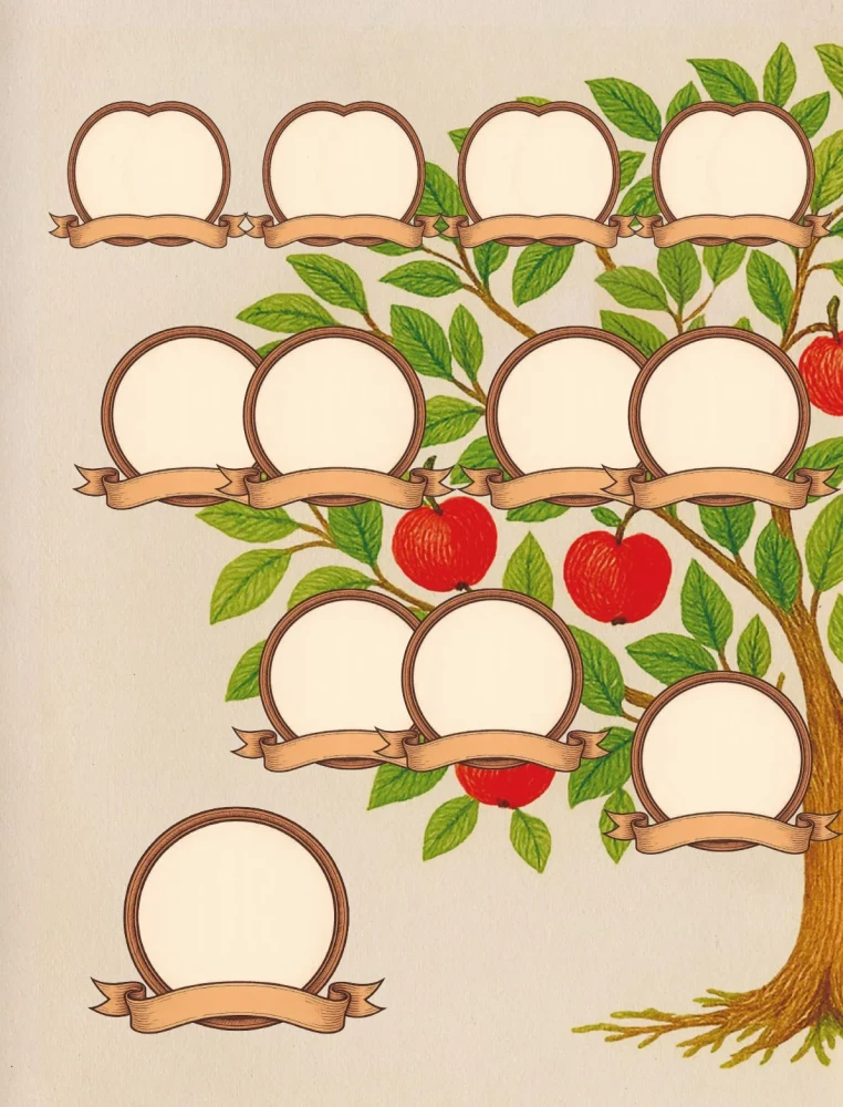 Conversation with Grandma. Stories and Family Tree