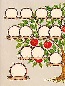 Conversation with Grandma. Stories and Family Tree