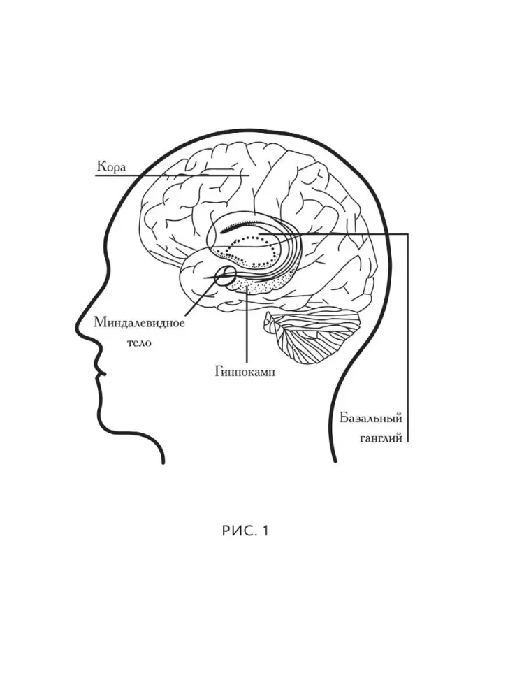 From Zen to Neuron. How to Improve Your Life Using Western Neuroscience and Eastern Wisdom