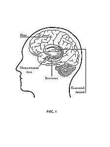 From Zen to Neuron. How to Improve Your Life Using Western Neuroscience and Eastern Wisdom