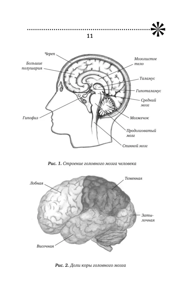 Training Memory - Training Intelligence! 150 Exercises, 100 Shulte Tables and Kelly's Trainer