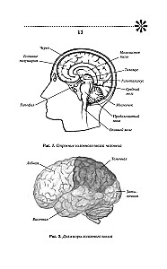 Training Memory - Training Intelligence! 150 Exercises, 100 Shulte Tables and Kelly's Trainer