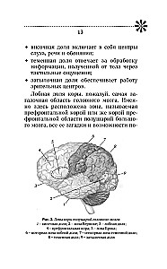 Training Memory - Training Intelligence! 150 Exercises, 100 Shulte Tables and Kelly's Trainer