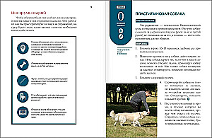 Master of Dog Science. Developing Intelligence, Strengthening Contact, and Enjoying Without Boring Training