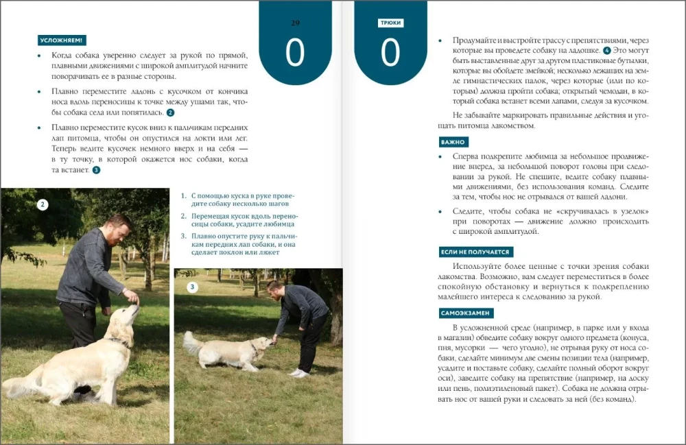 Master of Dog Science. Developing Intelligence, Strengthening Contact, and Enjoying Without Boring Training