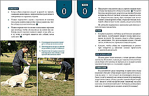 Master of Dog Science. Developing Intelligence, Strengthening Contact, and Enjoying Without Boring Training