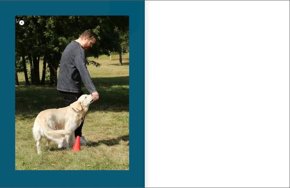 Master of Dog Science. Developing Intelligence, Strengthening Contact, and Enjoying Without Boring Training