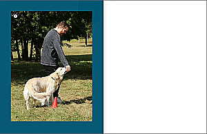 Master of Dog Science. Developing Intelligence, Strengthening Contact, and Enjoying Without Boring Training