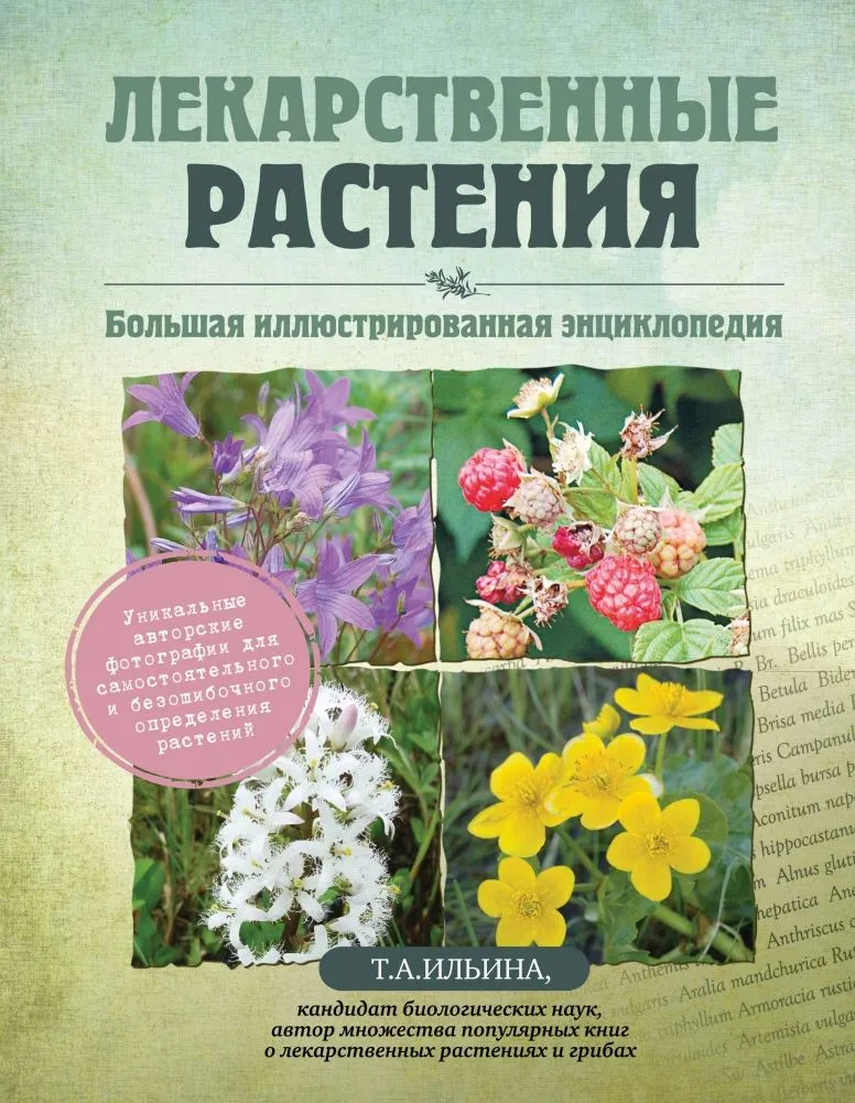 Medicinal Plants. Large Illustrated Encyclopedia