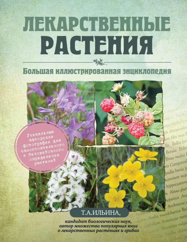 Medicinal Plants. Large Illustrated Encyclopedia