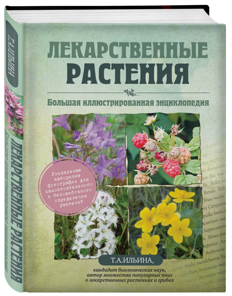 Medicinal Plants. Large Illustrated Encyclopedia