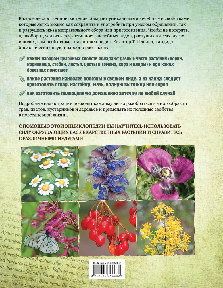 Medicinal Plants. Large Illustrated Encyclopedia